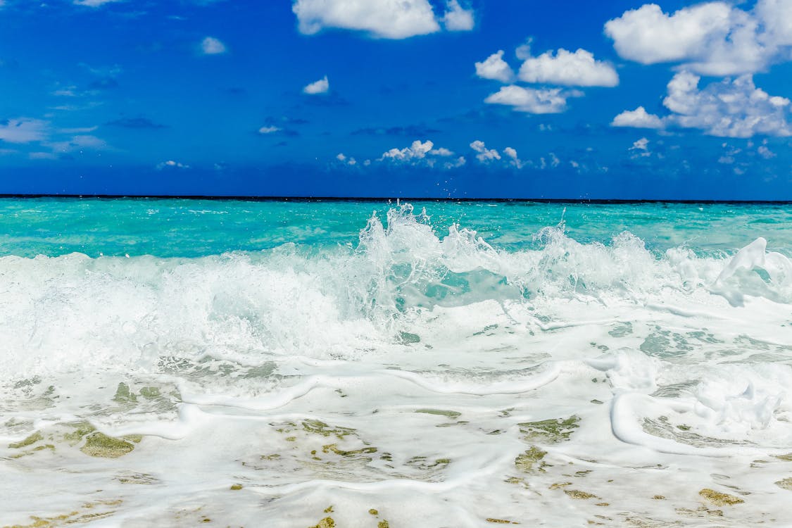 Tandimplantaat kosten - prijs van een implantaat bij AltaDent